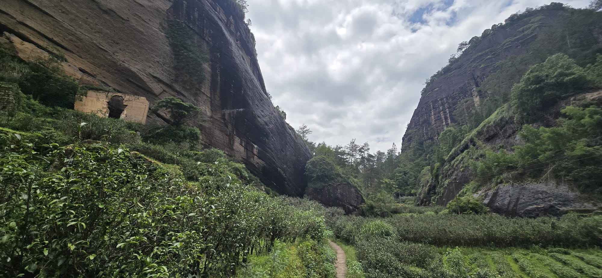 Wuyi Revisited: 2025 Trip Report