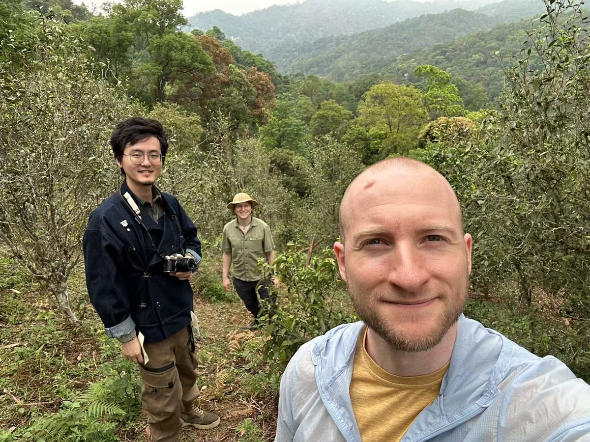 Where Heaven is Close and the Emperor is far Away: Tea Technique Research Trip 2025 – Yiwu, Yunnan