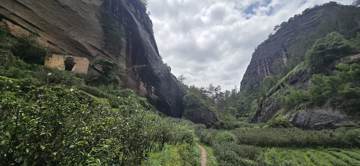 Wuyi Revisited: 2025 Trip Report